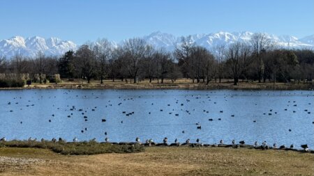 【特別手配／1日６名様限定】学芸員と巡る 北陸最大級！富山県中央植物園満喫プラン