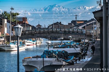 日本のベニス内川新湊観光船 遊覧＆ティータイム